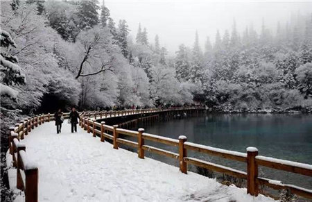 原來河南大雪過后這么美